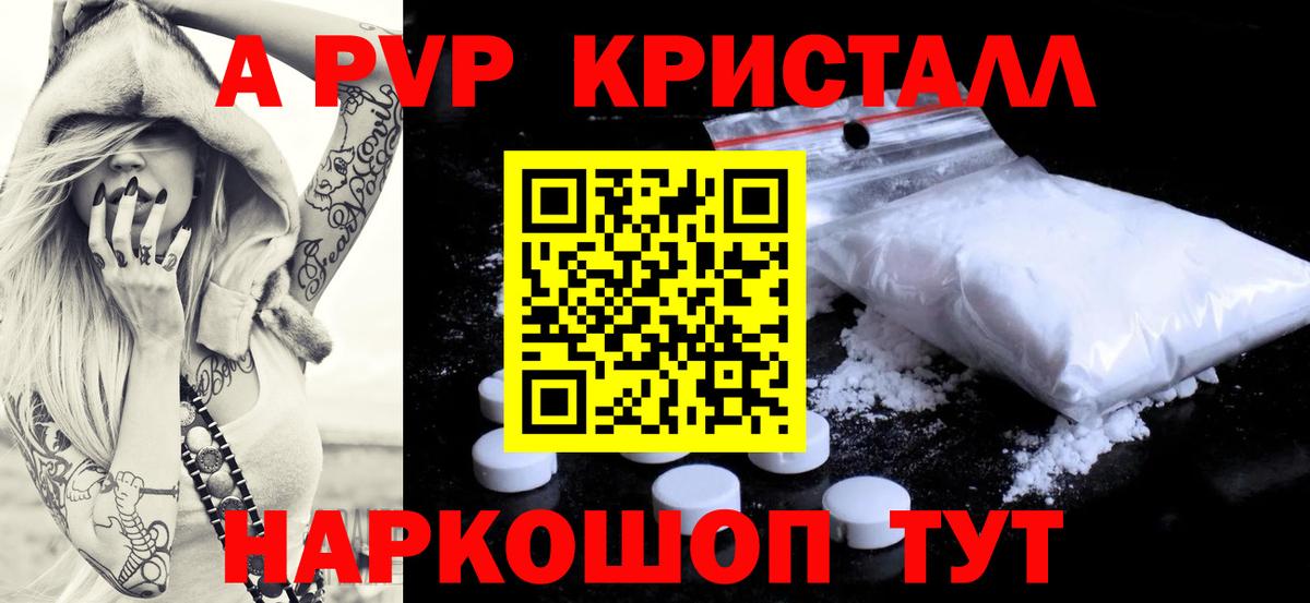 А ПВП СК КРИС Новозыбков